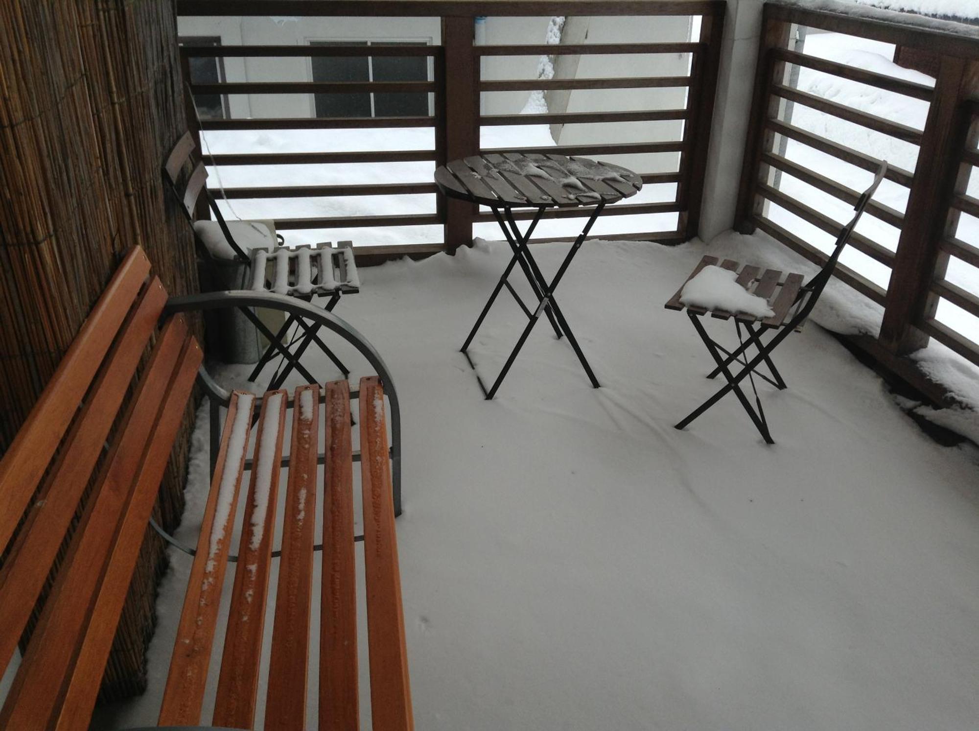 Minamiya 山とねこと遊ぶ宿 みなみ家 Hakuba Exterior foto